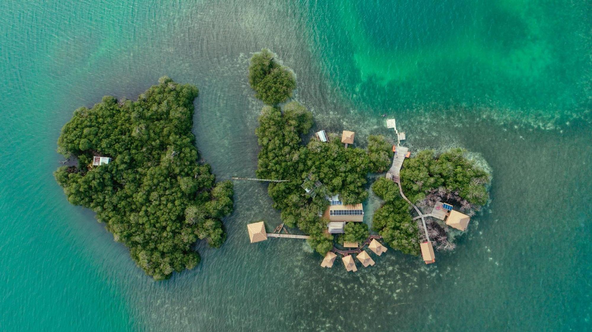 Punta Laurel Urraca Monkey Island Eco Resort (Adults Only) מראה חיצוני תמונה