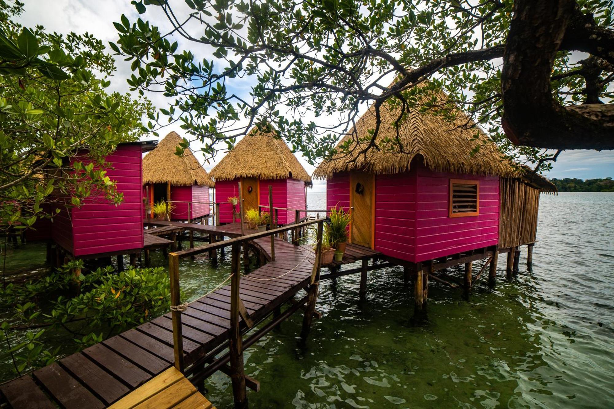 Punta Laurel Urraca Monkey Island Eco Resort (Adults Only) מראה חיצוני תמונה