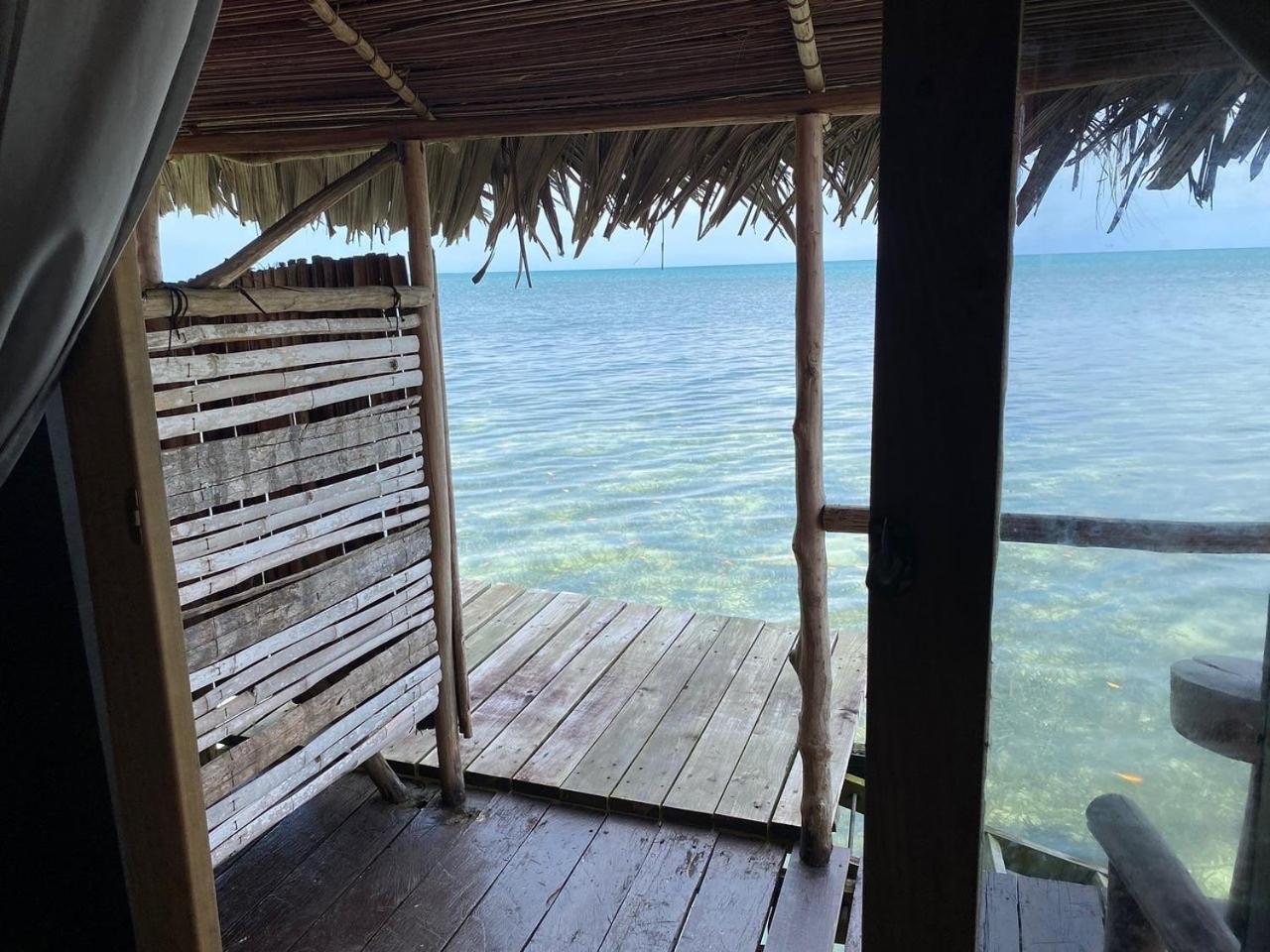 Punta Laurel Urraca Monkey Island Eco Resort (Adults Only) מראה חיצוני תמונה