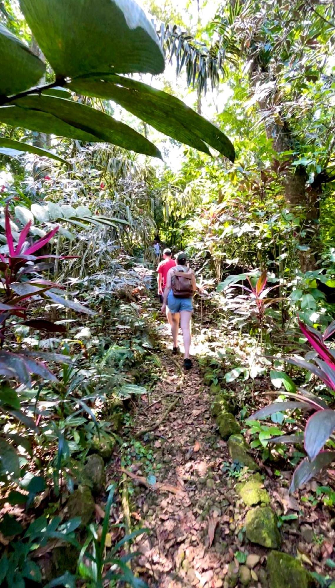 Punta Laurel Urraca Monkey Island Eco Resort (Adults Only) מראה חיצוני תמונה