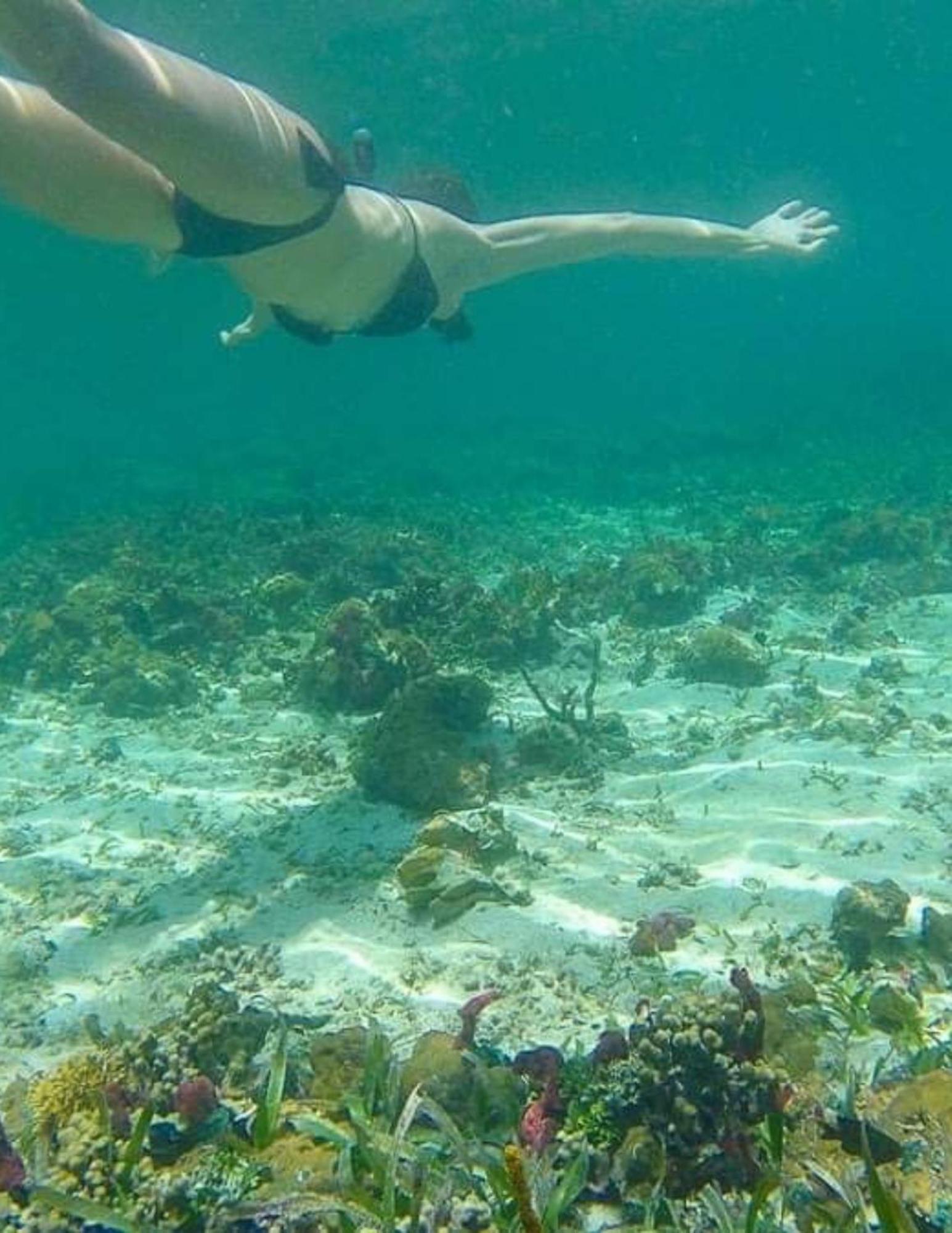 Punta Laurel Urraca Monkey Island Eco Resort (Adults Only) מראה חיצוני תמונה
